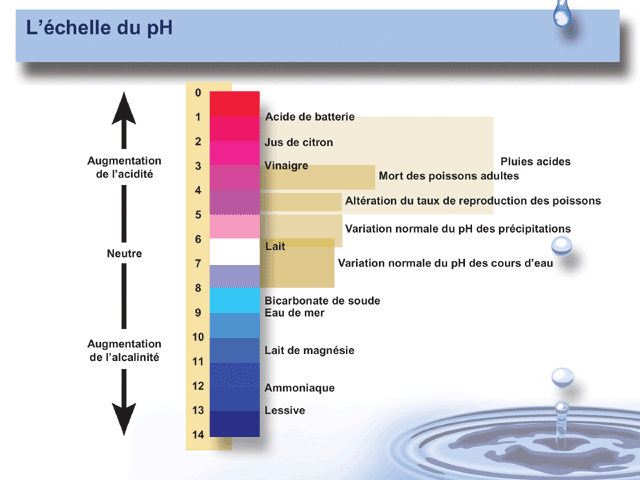échelle du pH